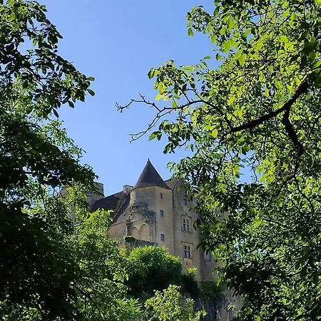 Petite Maison En Pierre Au Coeur Du Perigord Noir Proche De Sarlat Et Rocamadour Salignac Eyvigues Exterior foto