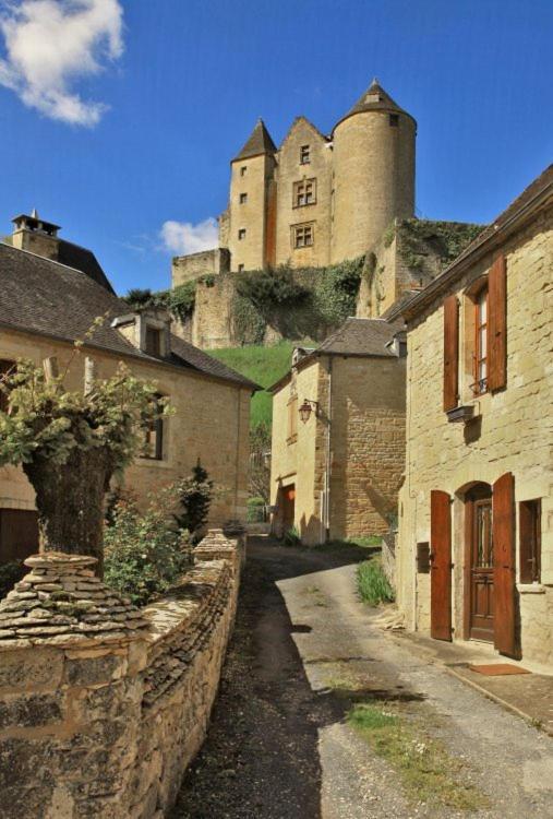 Petite Maison En Pierre Au Coeur Du Perigord Noir Proche De Sarlat Et Rocamadour Salignac Eyvigues