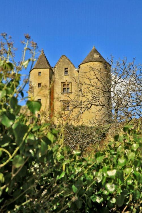 Petite Maison En Pierre Au Coeur Du Perigord Noir Proche De Sarlat Et Rocamadour Holiday home Salignac Eyvigues